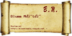 Blumm Máté névjegykártya